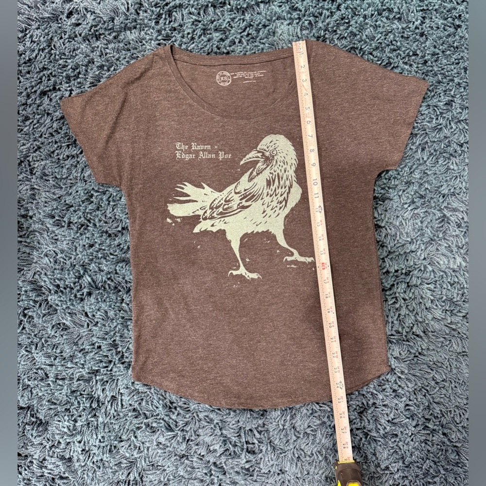 Out Of Print The Raven Gray T-Shirt with Edgar Allan Poe Raven Print Size Small - Picture 4 of 12